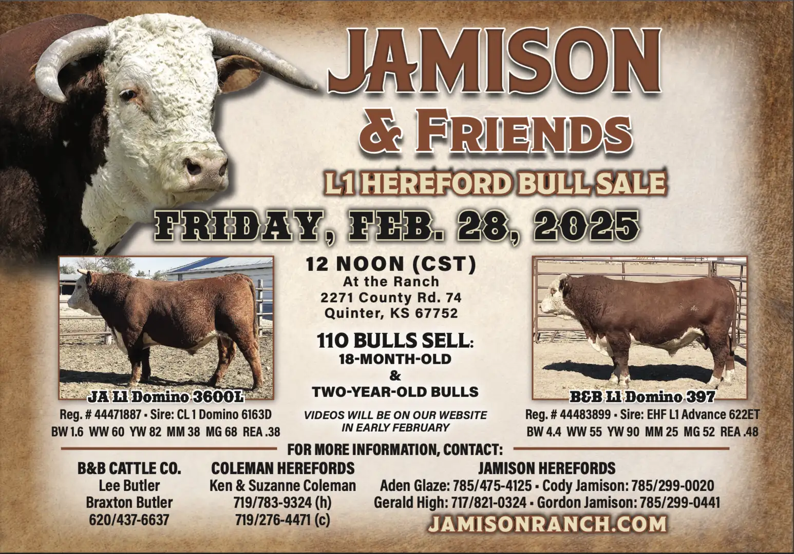 JAMISON RANCH HEREFORDS & QUARTER HORSES | Welcome